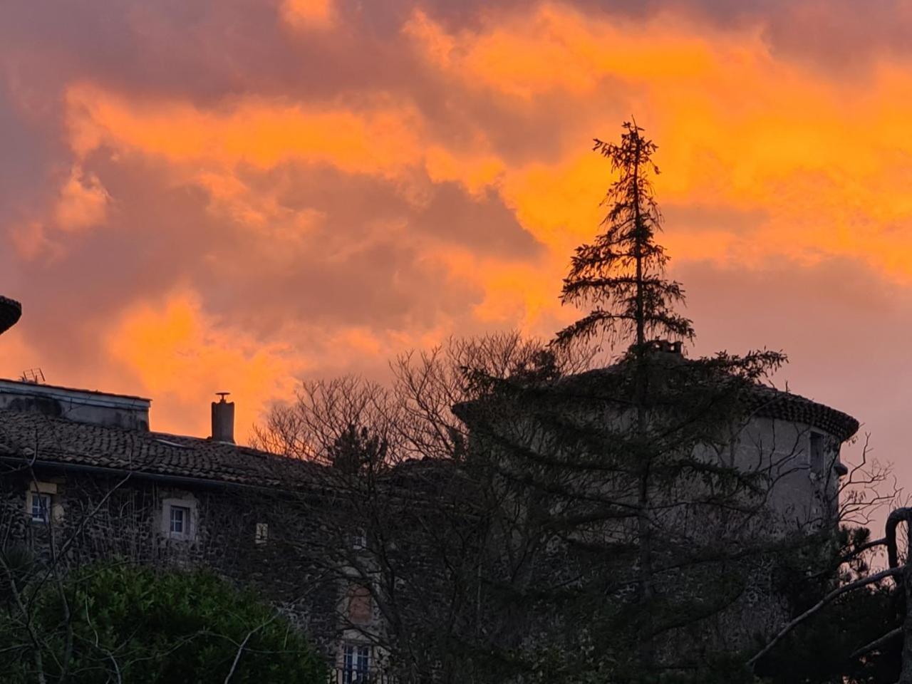 Chateau De Mauras Chomerac Bagian luar foto