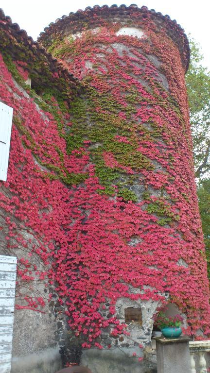 Chateau De Mauras Chomerac Bagian luar foto